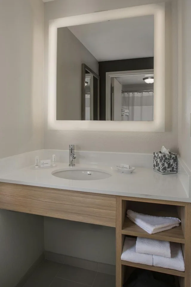 جناح بسرير كينج مع أريكة بحوض استحمام لذوي الإعاقة، SpringHill Suites by Marriott New Orleans Warehouse Arts District 8/10