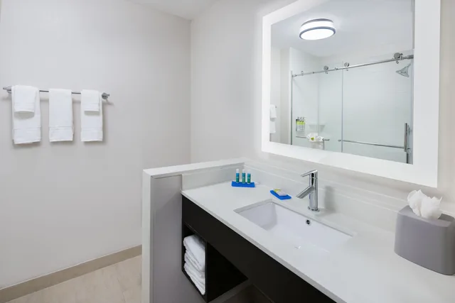 غرفة قياسية بسرير فردي، Holiday Inn Express & Suites Sugar Land SE - Missouri City 4/4