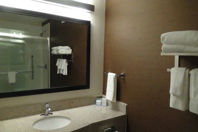 استوديو أساسي بسرير كينج بغرفة نوم واحدة مع أريكة، FAIRFIELD INN & SUITES ATLANTA BUFORD/MALL OF GEORGIA 2/3