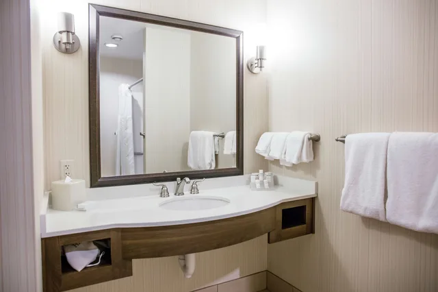 غرفة بسرير كينج لذوي الإعاقة، Hilton Garden Inn Milwaukee Downtown 6/7