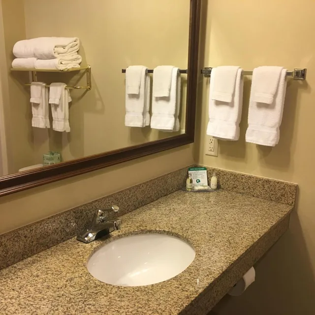 غرفة بسرير كينج بجاكوزي، Cobblestone Inn & Suites Durand 4/4