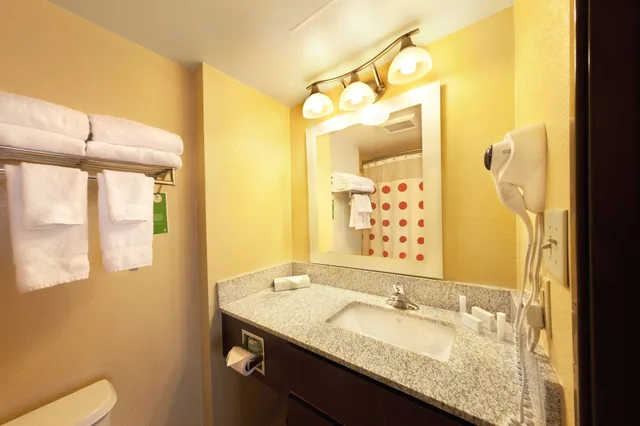 استوديو بسرير كينج مع أريكة، TownePlace Suites by Marriott Wilmington Newark/Christiana 4/5