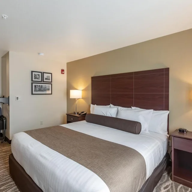 غرفة بسرير كينج لذوي الإعاقة، Cobblestone Hotel & Suites - Appleton International Airport 1/8