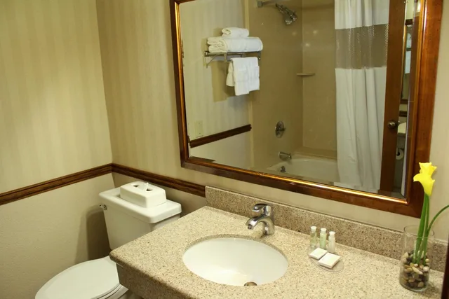 غرفة بسريرين كوين، University Square Hotel 2/2