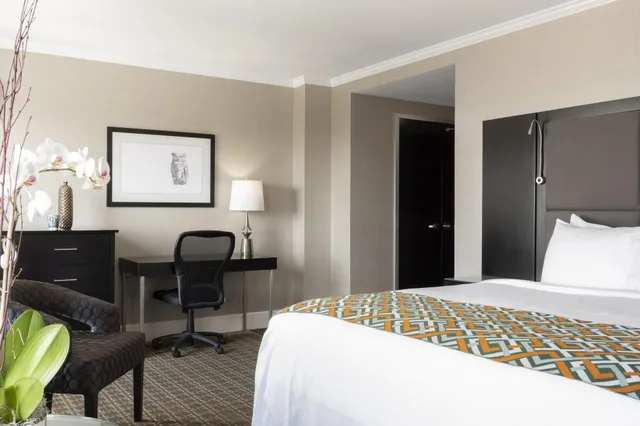 Standard, King Bed, Patio, Private Entrance، Voco The Tiger Hotel an IHG Hotel 7/10