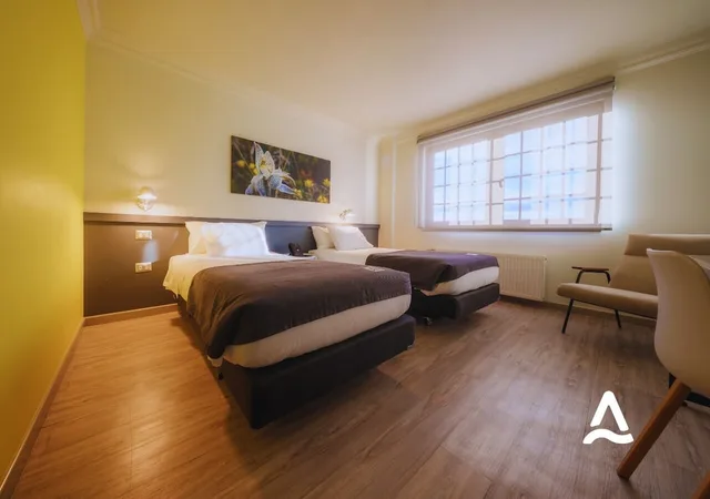 Alma, Superior, Double Bed، Hotel Almasur Punta Arenas 2/10