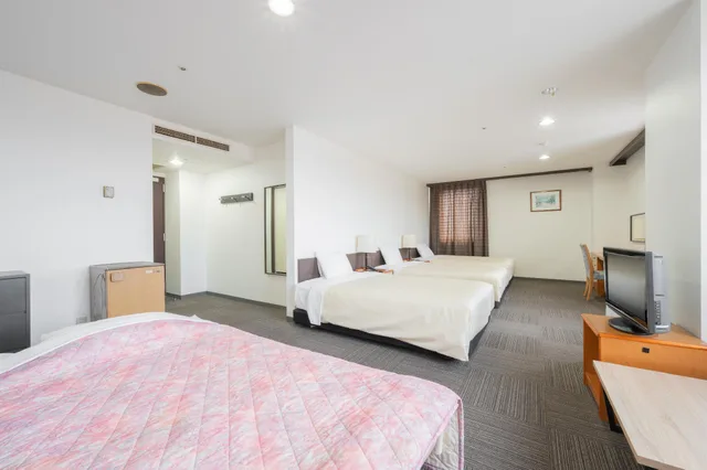 غرفة ثلاثية بسريرين منفصلين مع سرير إضافي للمدخنين، Hotel Hakodate Royal 1/1