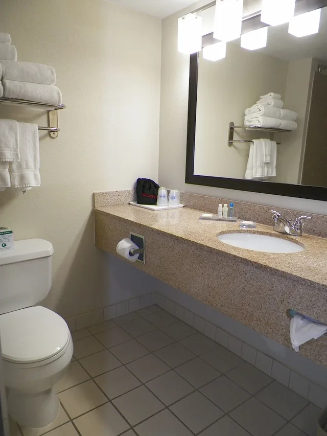 جناح بسرير كينج مع أريكة بحوض جاكوزي لذوي الإعاقة، Holiday Inn Express And Suites Cedar Falls Waterloo 3/3