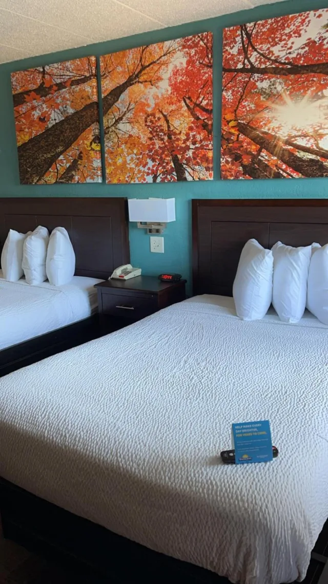 غرفة قياسية بسرير مزدوج، Economy Suites Springfield - I-44 1/2