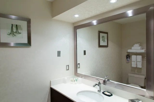 Standard, Queen Bed, Accessible, Holiday Inn Suites Windsor Ambassador Bridge 5/6
