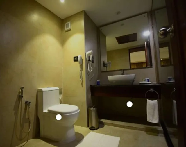 غرفة كلوب بسرير مزدوج، Classic Sarovar Portico 3/3