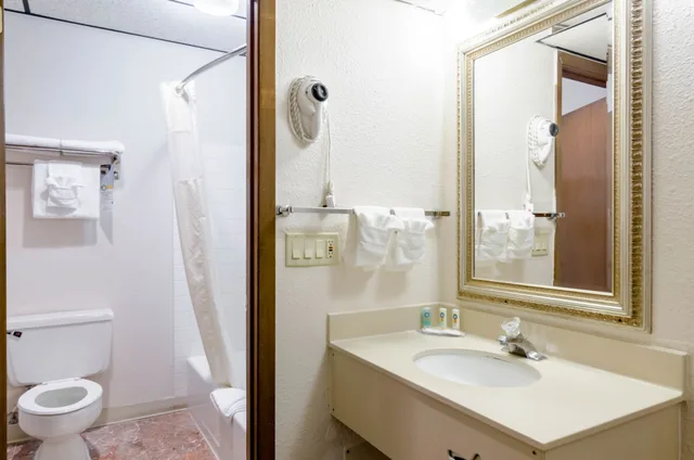 غرفة قياسية بسرير كينج، Wyndham Garden Salina Conference Center 9/10