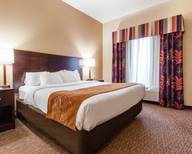 جناح بسرير كينج لذوي الإعاقة، Comfort Suites Pecos 8/10