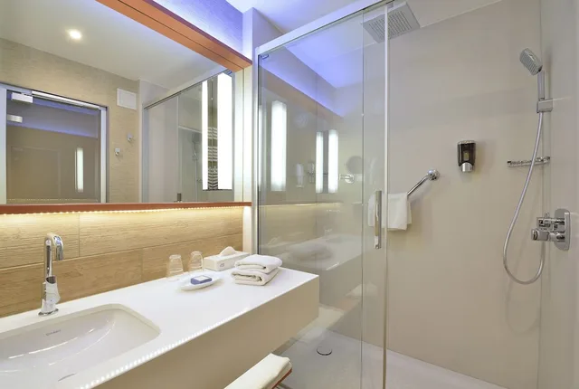 غرفة تنفيذية بسرير مزدوج أو سريرين منفصلين، DANUBIUS HEALTH SPA RESORT BUK 6/6