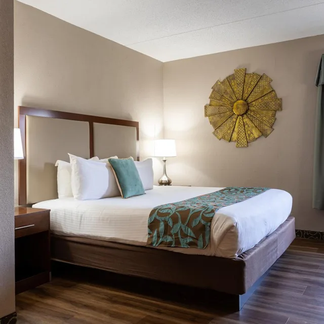 استوديو بسرير كينج، D. Hotel and Suites 2/7