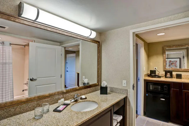 1 Bedroom, King Bed, Accessible, Embassy Suites by Hilton Fort Myers Estero 3/5