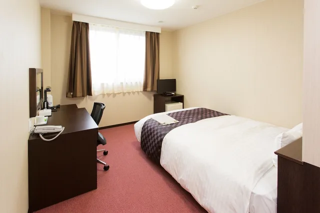 غرفة ديلوكس مفردة بسرير مزدوج، OKAWA RIVERSIDE HOTEL 1/1