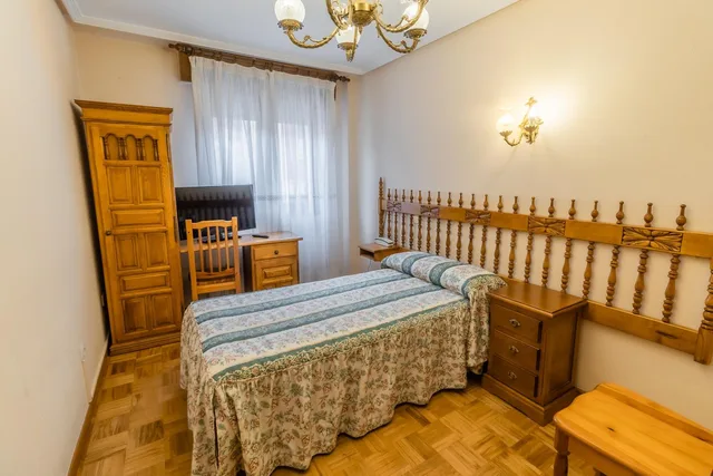Standard, Single, Santo Domingo De Silos Hotel 1/1