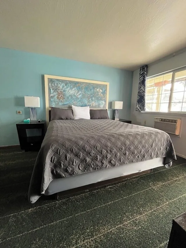 Standard, King Bed, Bluebird Day Inn & Suites 4/5