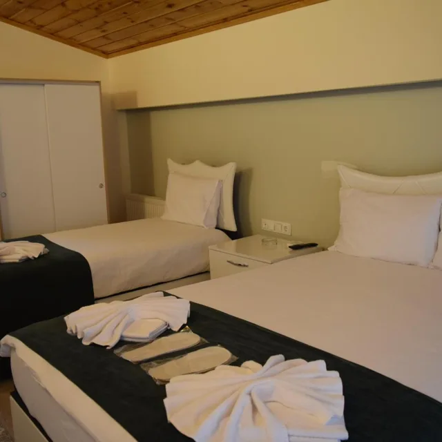 بنغل عائلي، Mars Otel Artvin 3/6