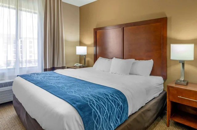 غرفة ديلوكس بسرير كينج، Comfort Inn & Suites Lynchburg Airport - University Area 2/10