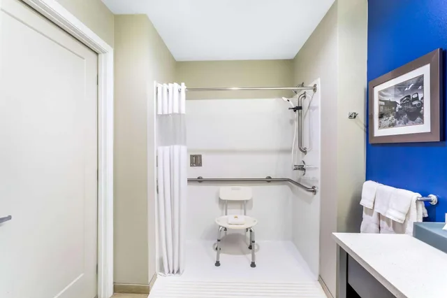 غرفة بسرير مزدوج لذوي الإعاقة، La Quinta Inn And Suites Odessa North Sienna Tower 4/4