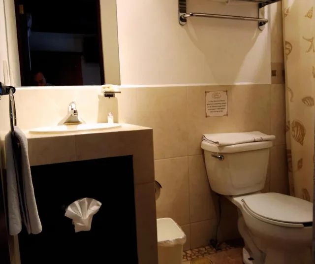 غرفة اقتصادية بسرير مزدوج، Meson de Los Remedios Hotel 3/3