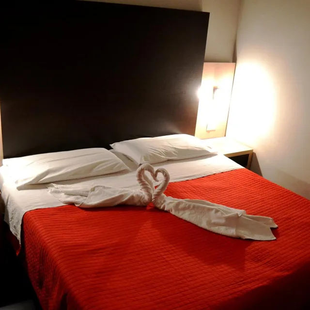 غرفة بسرير مزدوج أو سريرين منفصلين لذوي الإعاقة، Hotel Aiglon 1/5
