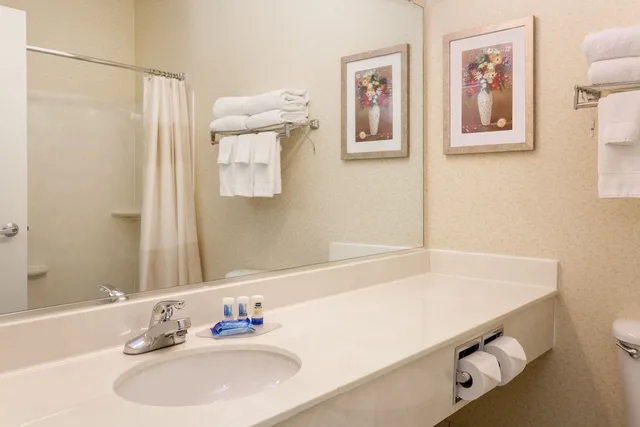 غرفة قياسية بسرير كينج يُسمح فيها بالحيوانات الأليفة لذوي الإعاقة، Best Western Independence Kansas City 10/10