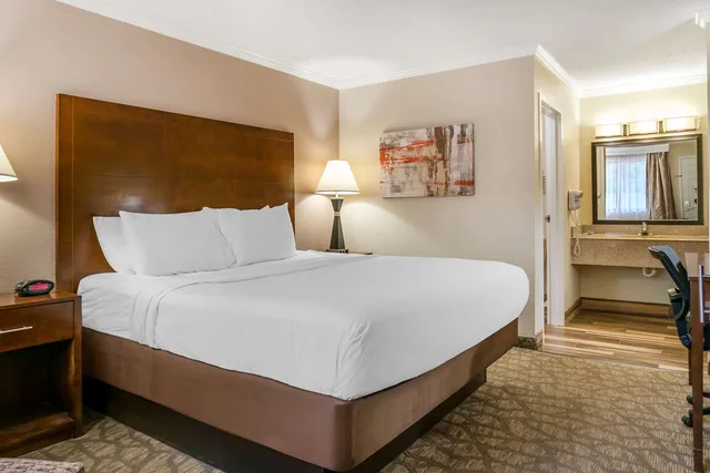 غرفة بسرير كينج يُسمح فيها بالحيوانات الأليفة، Best Western Of Hartland 1/3