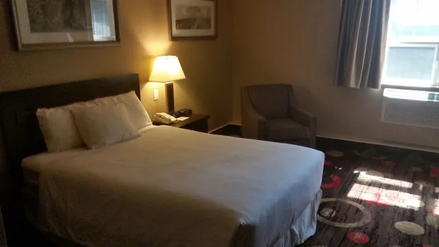 غرفة ديلوكس مفردة، Stonebridge Hotel 12/20