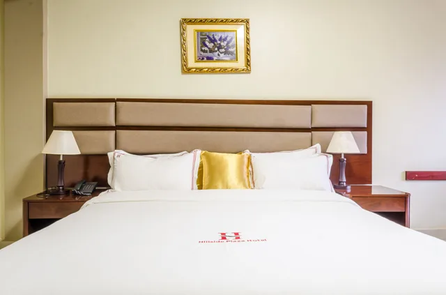 غرفة ديلوكس بسرير مزدوج، HILLSIDE PLAZA HOTEL 1/6