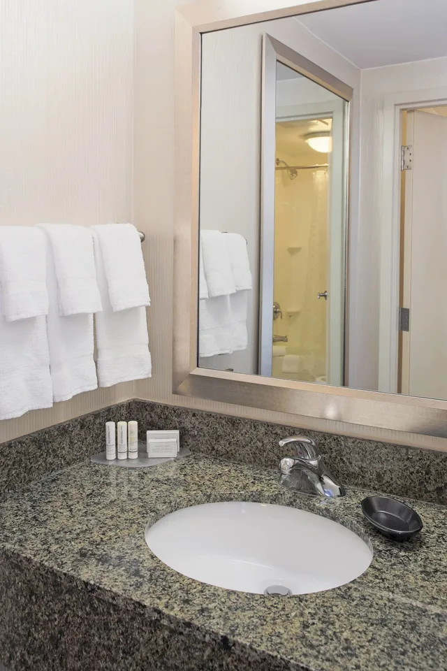 Studio, King Bed, Ocean Front, Balcony، Springhill Suites by Marriott Virginia Beach Oceanfront 1/3