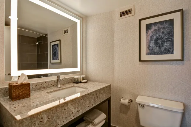 Premium, Suite, 2 Queen Beds, Embassy Suites by Hilton Minneapolis Airport 1/2