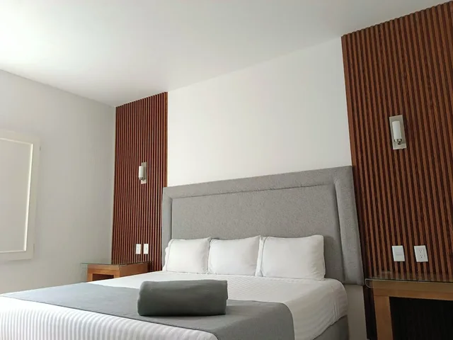 غرفة قياسية بسرير كينج، Hotel Zar Guadalajara 4/10