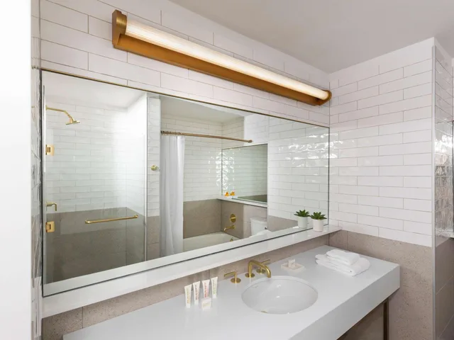 جناح فاخر، Hotel 55 Chicago Downtown 3/3