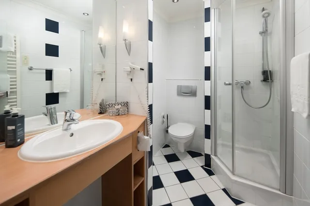 غرفة سوبيريور بسرير مزدوج، Baseler Hof Hotel 7/7