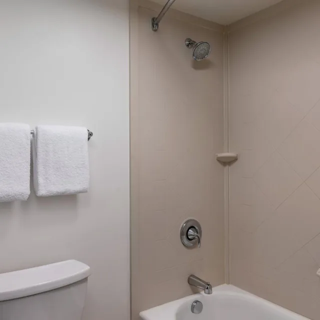 جناح بسرير كينج بغرفة نوم واحدة، Comfort Inn & Suites Wadsworth OH 2/2