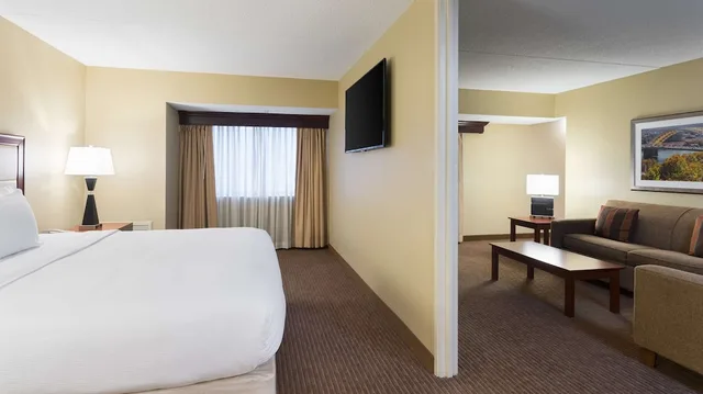 جناح بسرير كينج، DoubleTree Suites by Hilton Cincinnati - Blue Ash 2/4