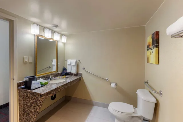 غرفة بسرير كينج لذوي الإعاقة، Best Western Plus Toronto Airport Hotel 4/4