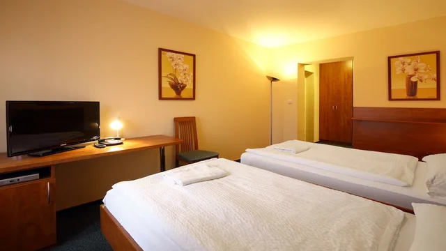 غرفة سوبيريور بسريرين منفصلين، Hotel Palace 3/5