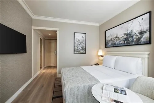 غرفة كلاسيكية بسرير مزدوج، Elite World Comfy Istanbul Taksim Hotel 1/1