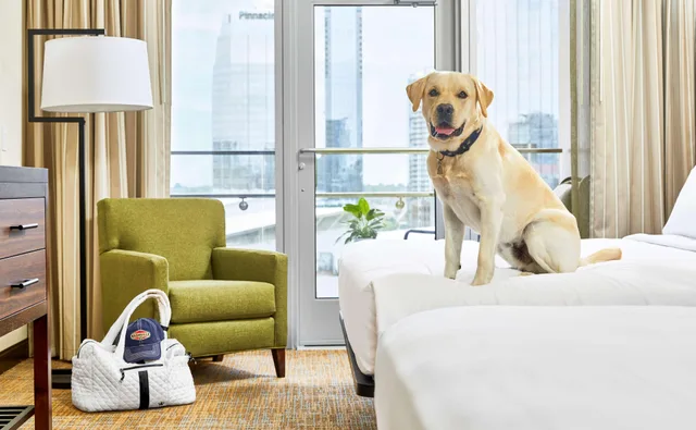 غرفة بسرير كينج لذوي الإعاقة، Embassy Suites by Hilton Nashville Downtown Convention Center 4/7