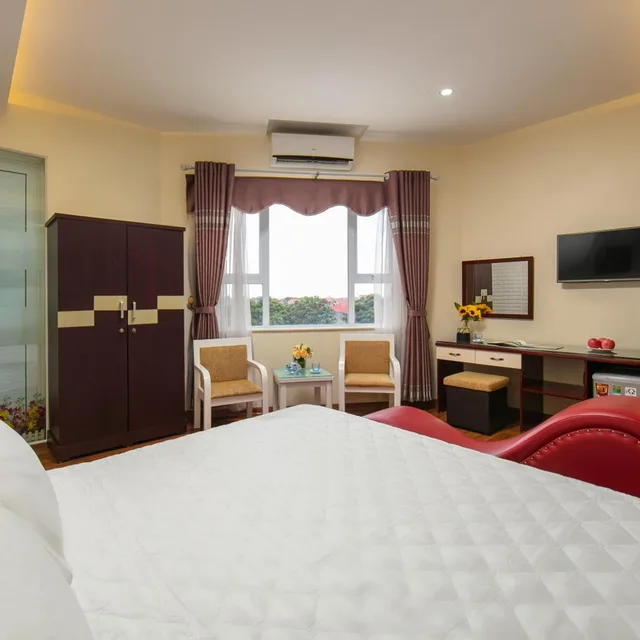 غرفة بسرير مزدوج بإطلالة، New Airport Hotel 5/10
