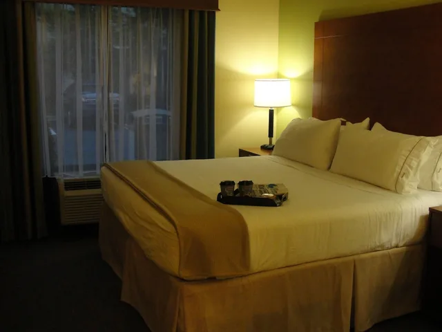 غرفة قياسية بسرير فردي، Holiday Inn Express Hotel Suites Atlanta East Lithonia 1/4