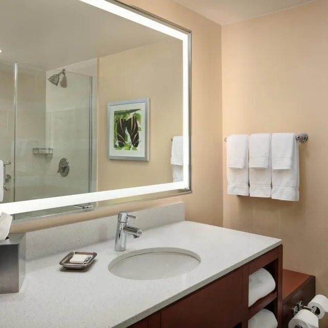 غرفة ديلوكس بسرير كينج، Holiday Inn Austin Town Lake Hotel 3/4
