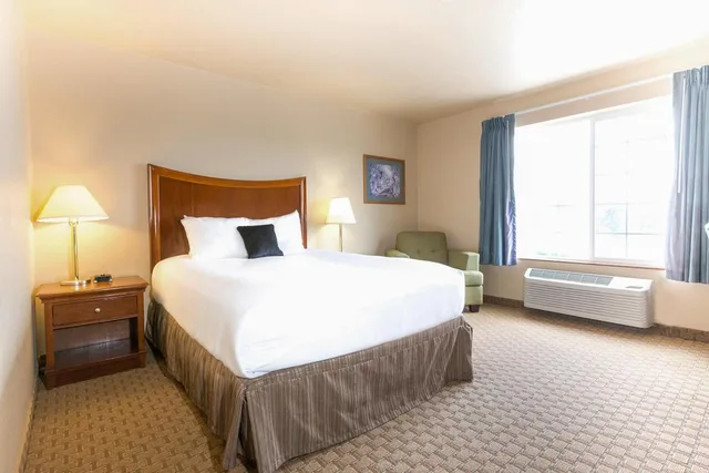 جناح جونيور يُسمح فيها بالحيوانات الأليفة، Red Lion Inn & Suites McMinnville 1/3
