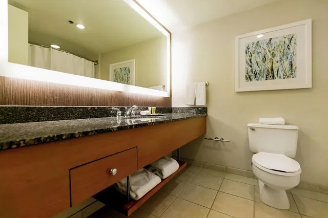 1 Bedroom, Suite, Cabin, King Bed, Sofa، Hilton Salt Lake City Center 4/5