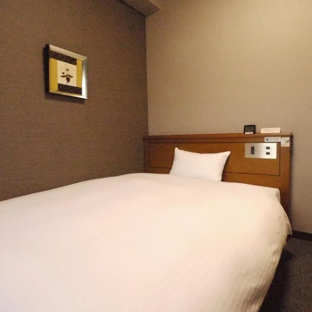 غرفة مفردة، Hotel Route Inn Tsuruga Ekimae 1/6