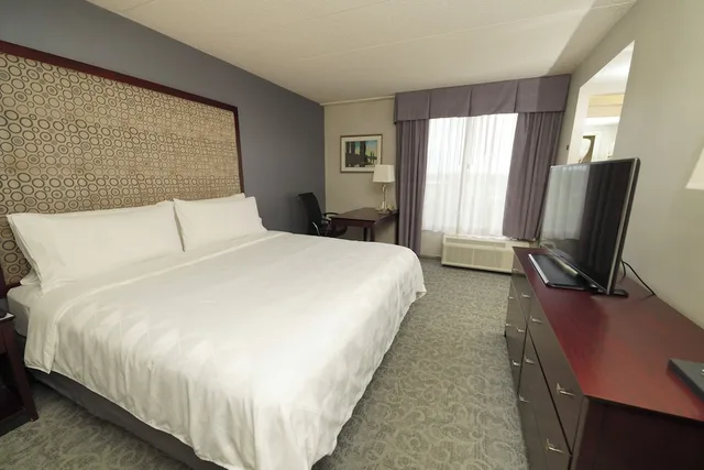جناح بسرير كينج، Holiday Inn Hotel & Suites Chicago-Carol Stream(Wheaton) 1/3